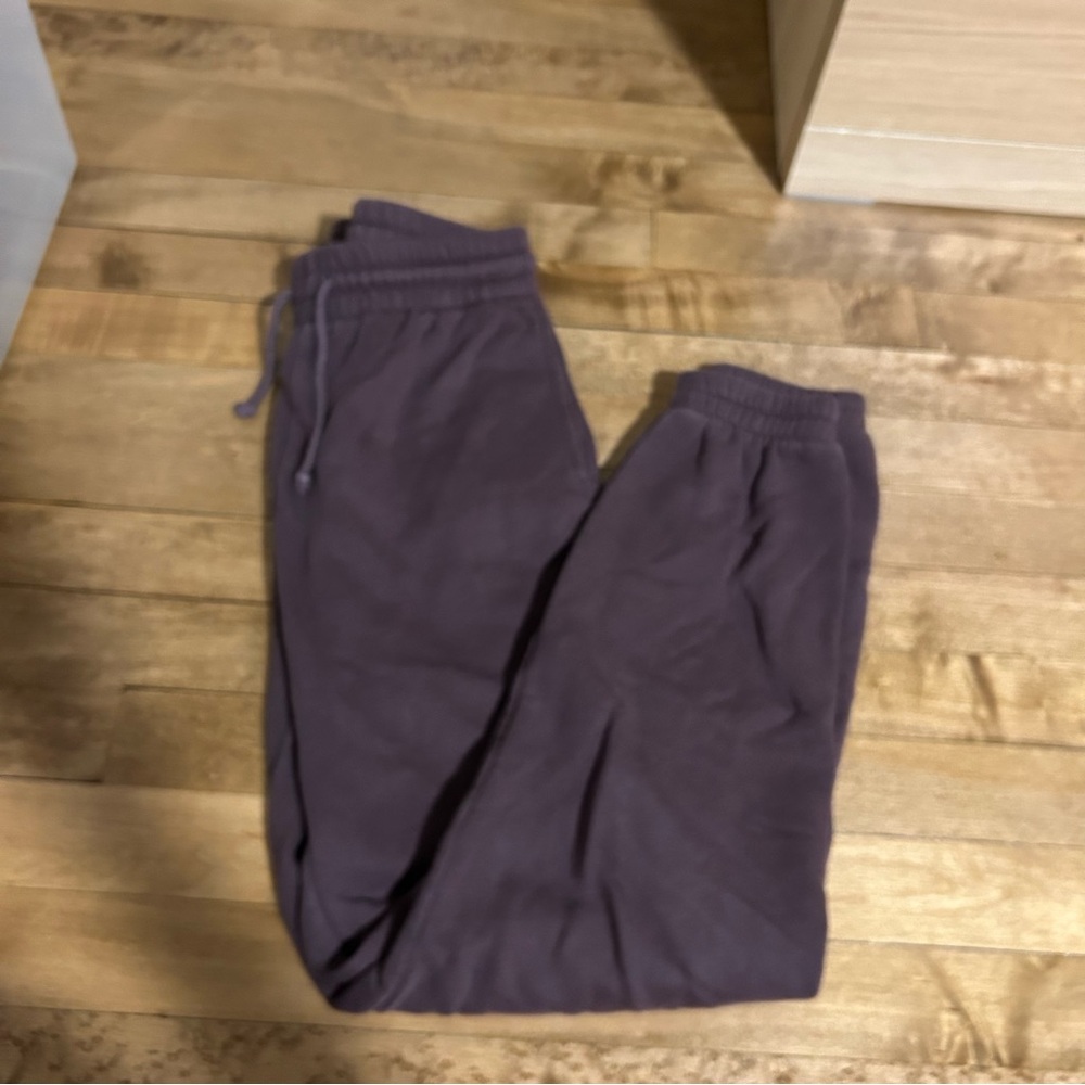 Aritiza TNA Eggplant Purple Jogger Sweatpants